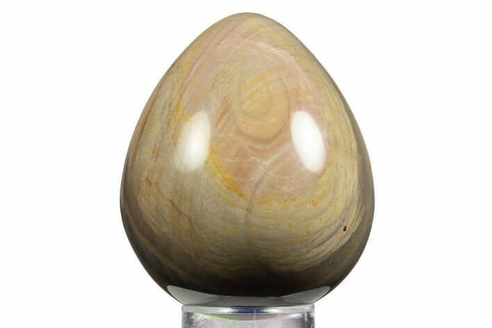 Polished Polychrome Jasper Egg - Madagascar #331721